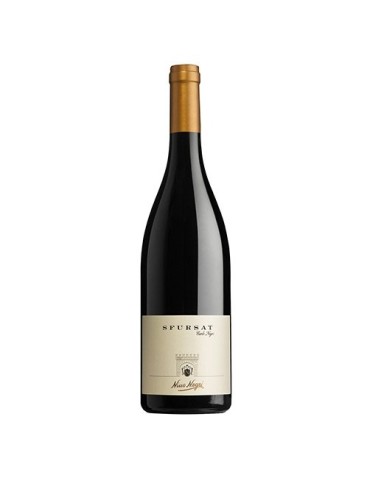 Sfursat Nino Negri 2022 - 0,75 lt.