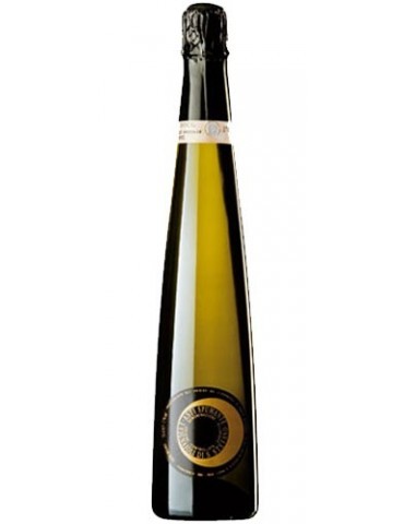 Asti Vignaioli di S. Stefano 2025 Bio - 0,75 lt.