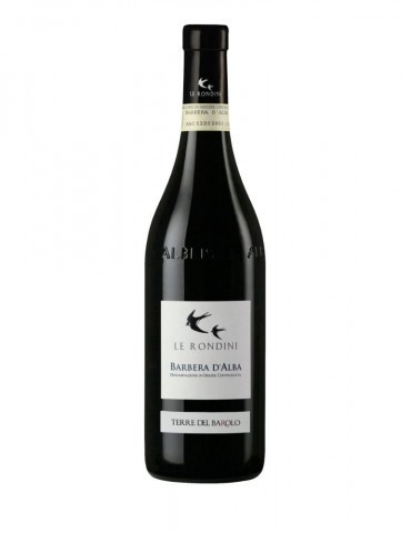 Barbera d'Alba Terre del Barolo Le Rondini 2023 - 0,75 lt