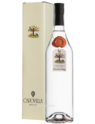 Grappa Capovilla Breg Gravner 2010 - 0,70 lt.
