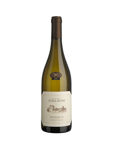 Ribolla Gialla Collavini Benedete 2023 - 0,75 lt. ( NON DISPONIBILE )