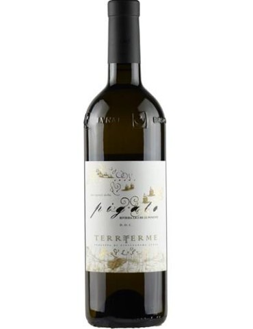 Pigato Lunae Bosoni Terrterme 2024 - 0,75 lt.