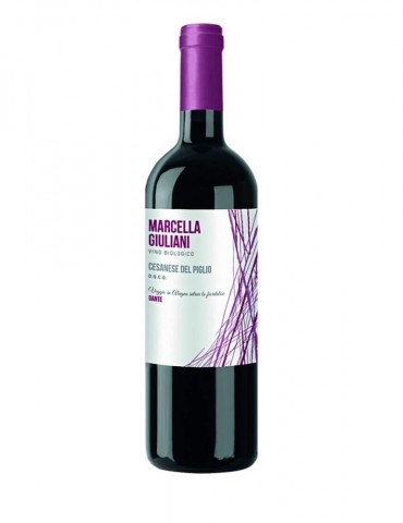 Cesanese del Piglio Giuliani 2024 - 0,75 lt.