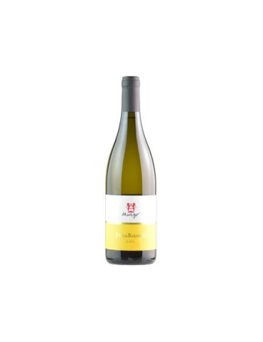 Etna Bianco Murgo  2025 - 0,75 lt.