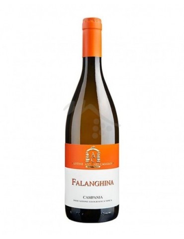 Falanghina Caggiano 2024 - 0,75 lt.